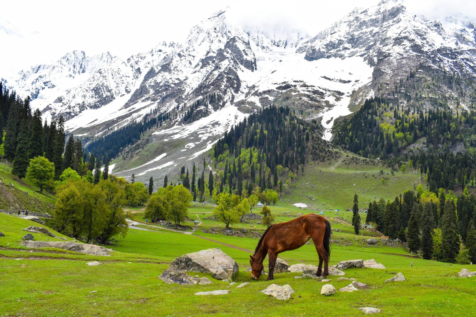 praneet kumar H8dcf v98mA unsplash scaled